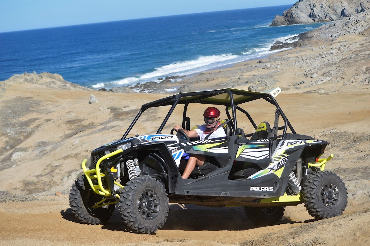 Amigos Activities Los Cabos — Services in Cabo San Lucas, Los Cabos