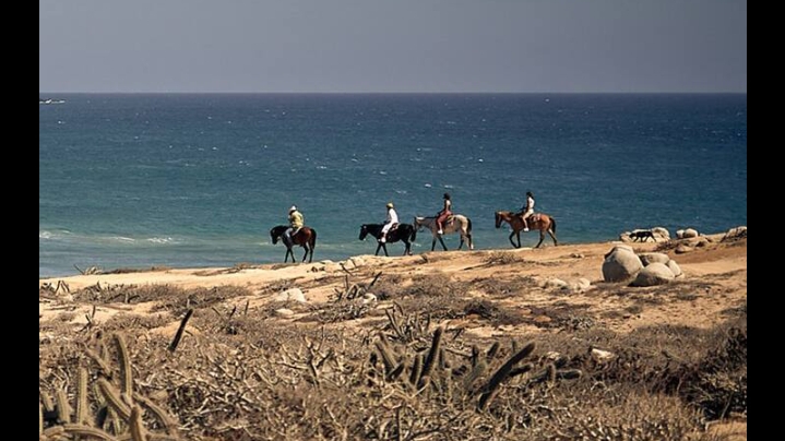 Rancho Carisuva — Tourist Attraction in Cabo San Lucas, Los Cabos