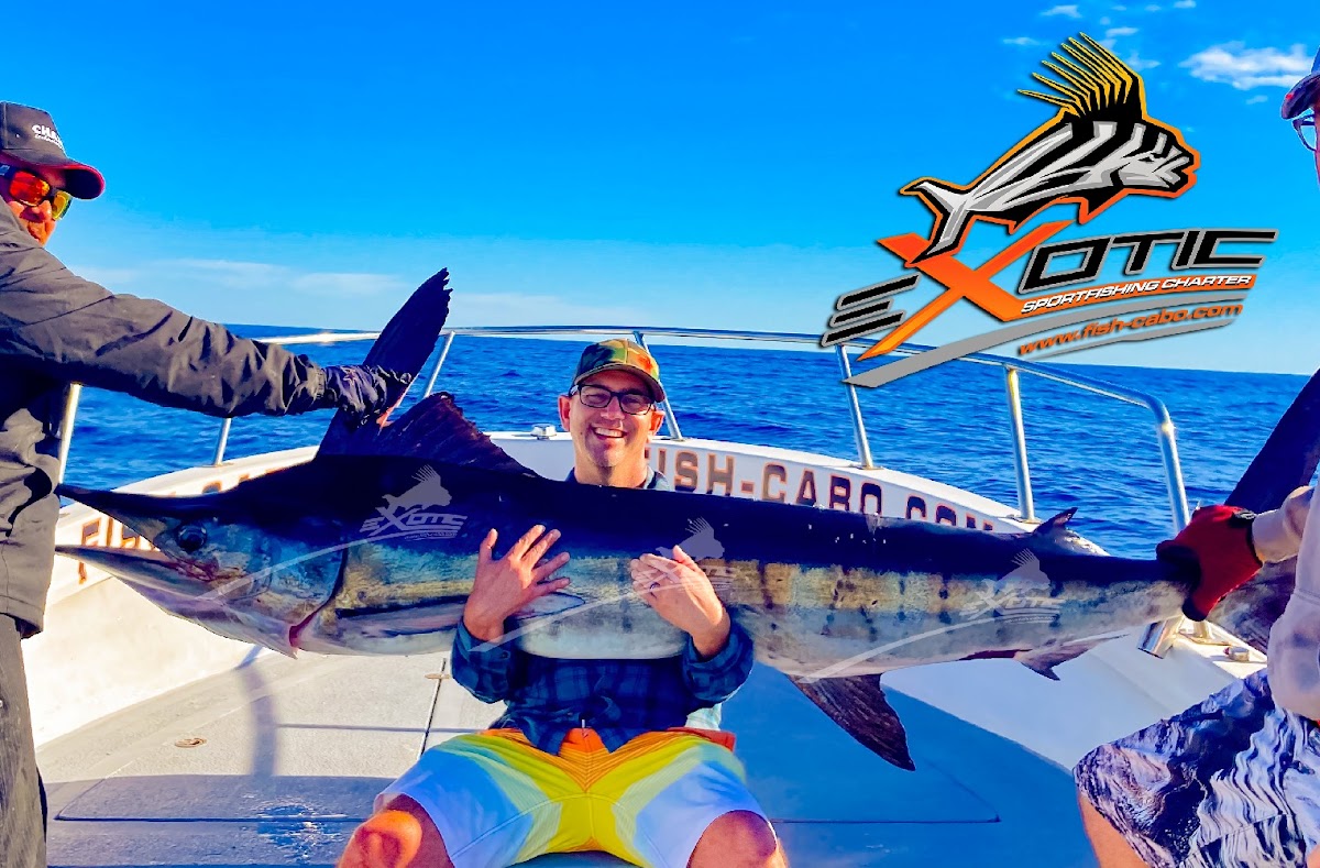 Exotic Fish Cabo — Fishing Charter in San Jose del Cabo, Los Cabos