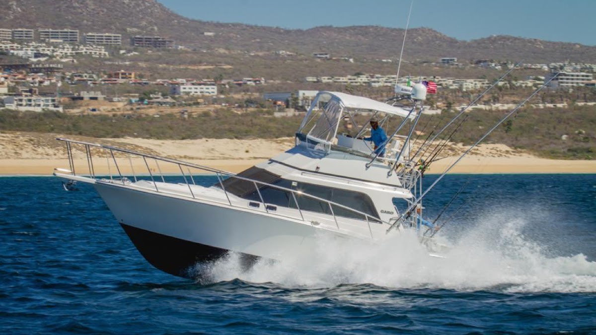 Fishing 4 Cabo — Tour Agency in Cabo San Lucas, Los Cabos