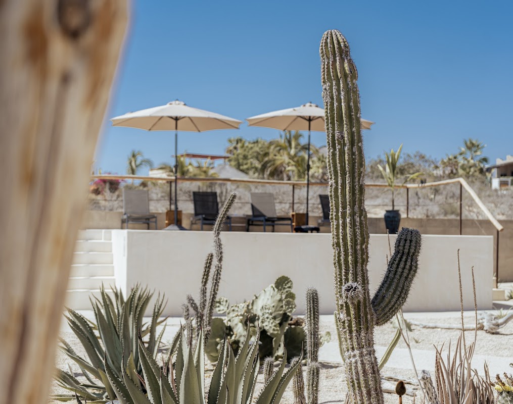 Bajatemple — Hotel in Todos Santos Baja, Los Cabos