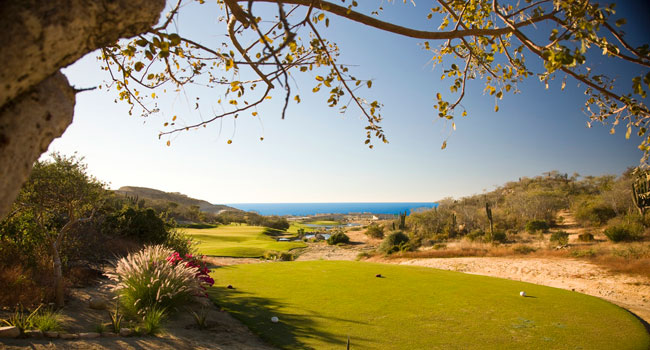 Club Campestre San José — Golf Course in San Jose del Cabo, Los Cabos