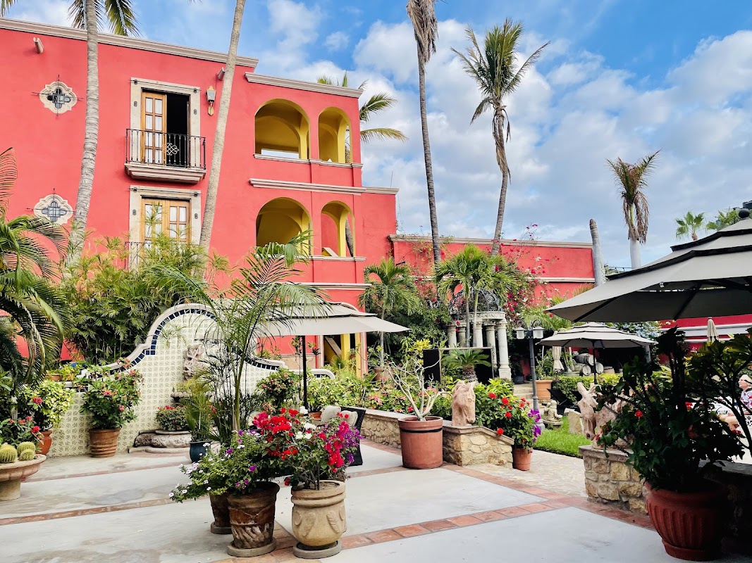 Collection O Casa Bella Hotel Boutique, Cabo San Lucas — Hotel in Pedregal Cabo San Lucas, Los Cabos