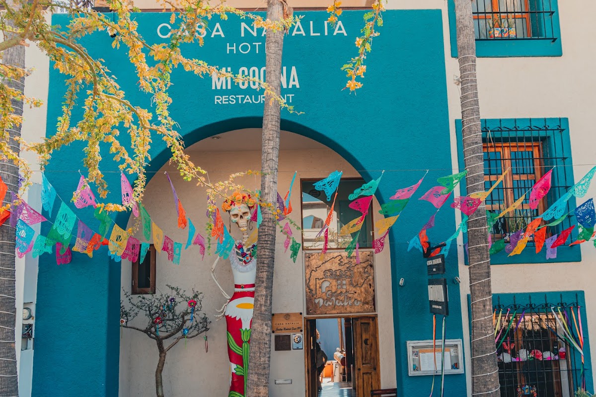 Hotel Casa Natalia — Hotel in San Jose del Cabo, Los Cabos