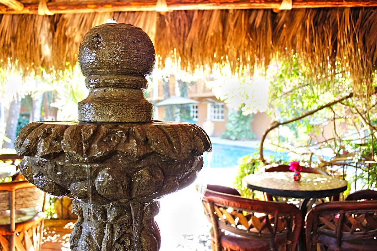 The Bungalows Hotel — Hotel in Pedregal Cabo San Lucas, Los Cabos