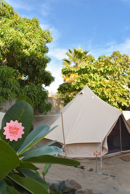 Whale Tales Hostel — Hostel in San Jose del Cabo, Los Cabos
