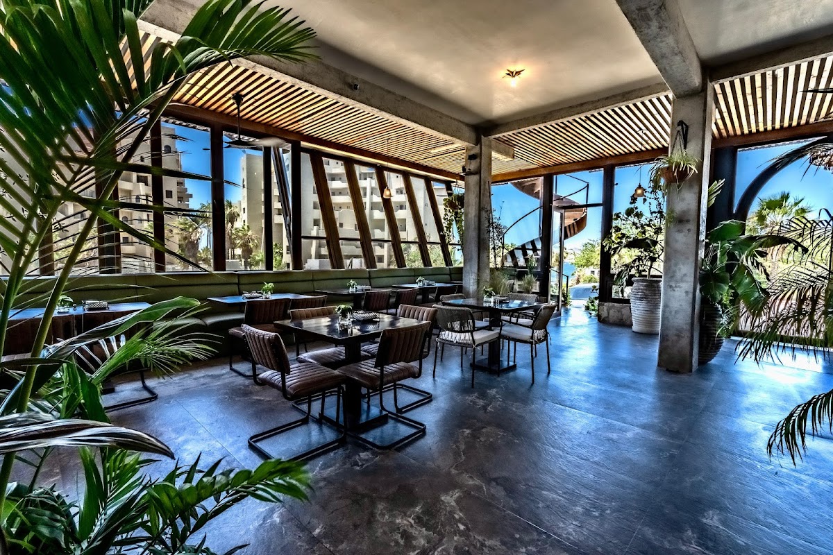 Sead Soul to Table — Restaurant in Los Cabos Corridor Mexico, Los Cabos