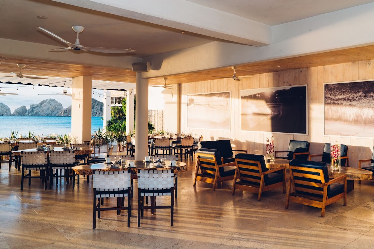 SUR Beach House — Restaurant in Cabo San Lucas, Los Cabos