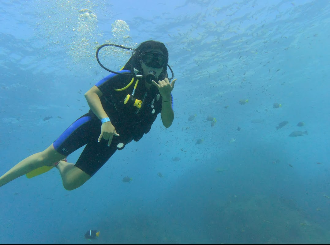 Dive Cabo Pulmo — Tour Agency in Cabo San Lucas, Los Cabos