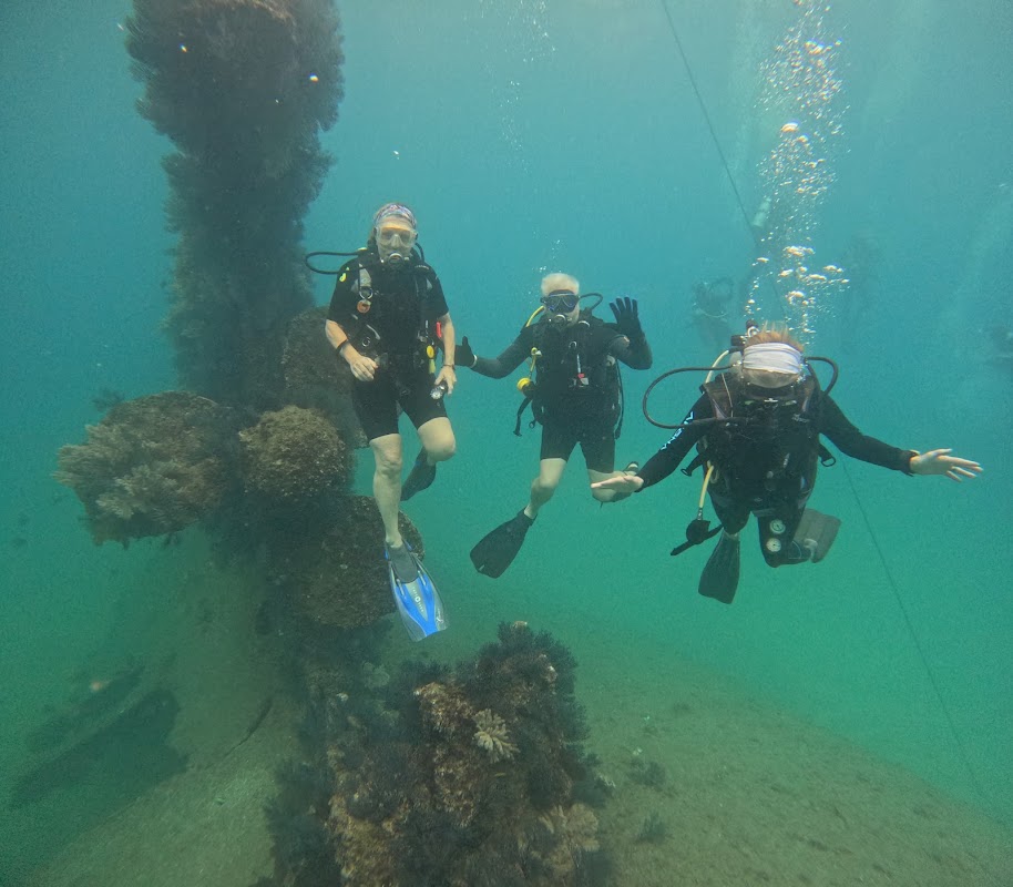 East Cape Explorers — Tour Agency in Cabo San Lucas, Los Cabos