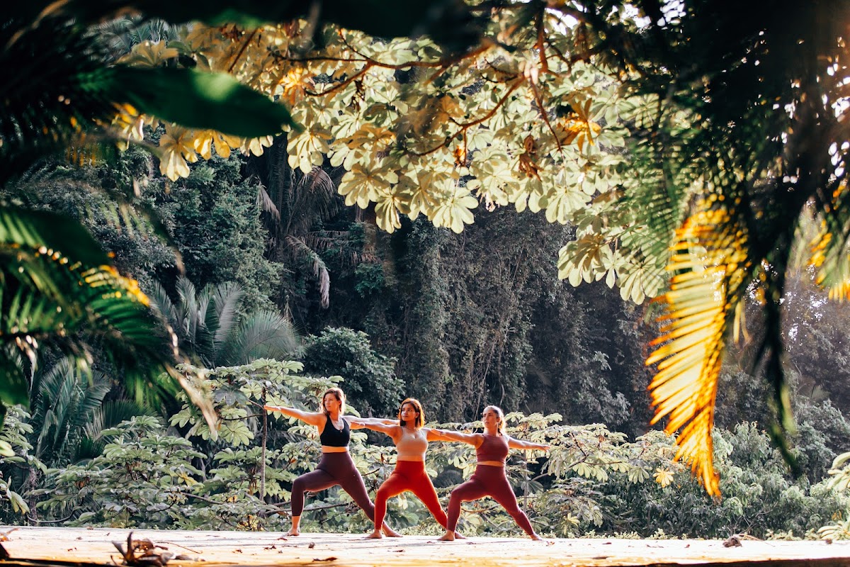 Beyond Yoga Retreat - All Inclusive Wellness Resort and Spa In Puerto Vallarta, Mexico — spa-wellness in Cabo San Lucas, Los Cabos