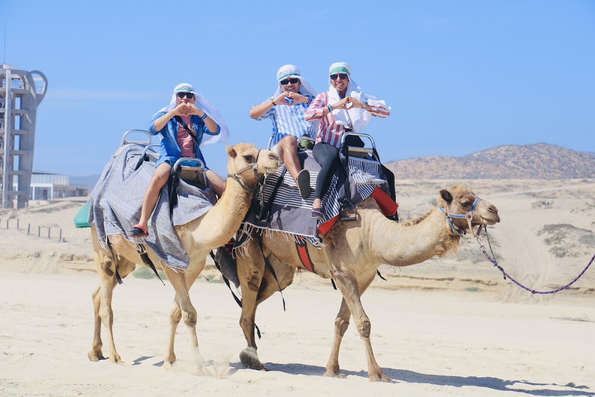 CABO PREMIERE TOURS — Tour Agency in Cabo San Lucas, Los Cabos