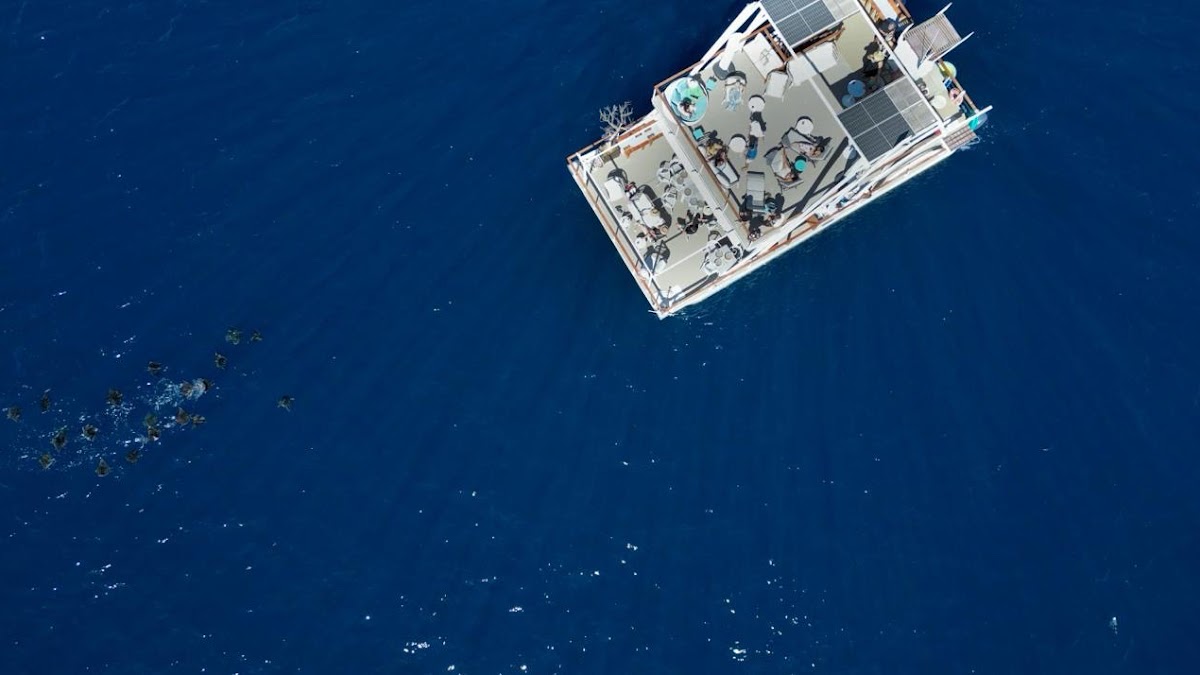 La Isla Tour Cabo | Catamaran Rental — Tour Agency in Cabo San Lucas, Los Cabos