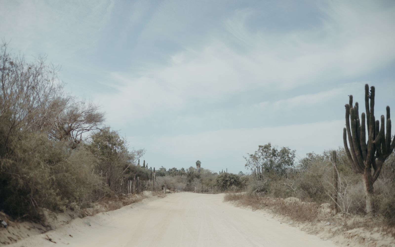 A scenic day trip in Baja California Sur