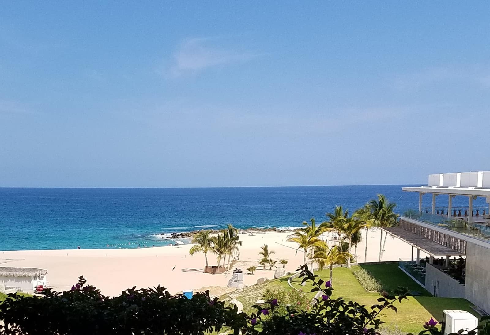 Resort beach at San José del Cabo with white sand, palm trees, and deep blue water on a clear day