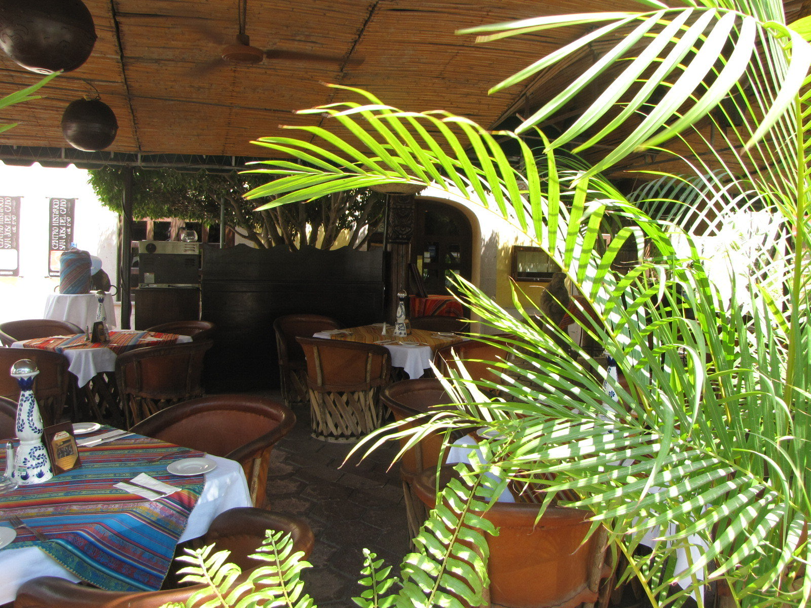 Open-air restaurant dining room with colorful table runners and potted palms in San José del Cabo
