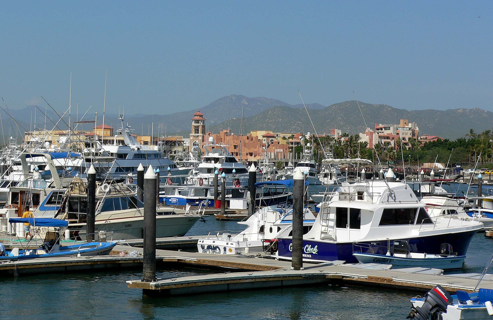 The marina and bay at Cabo San Lucas