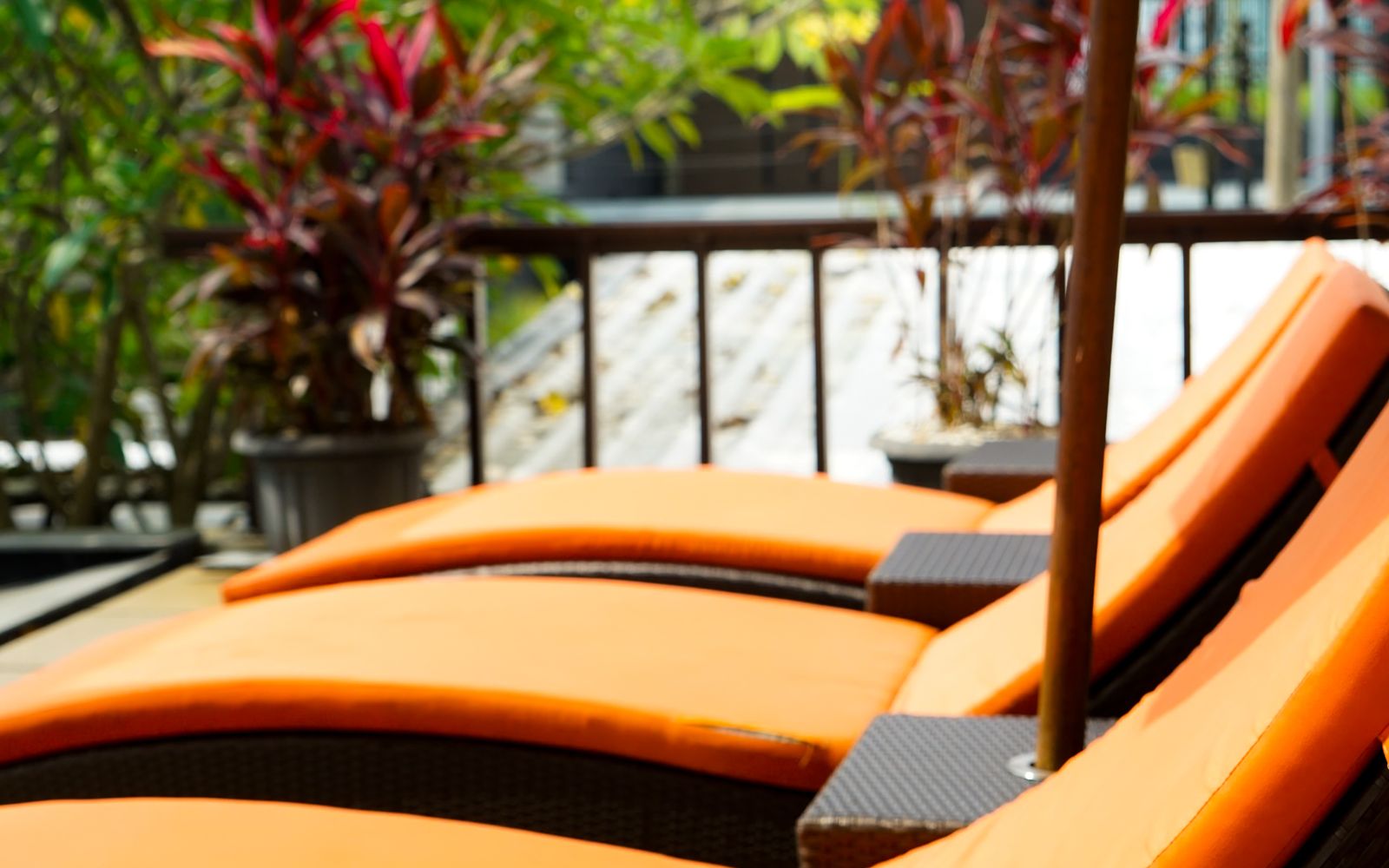 Lounge chairs at a resort pool