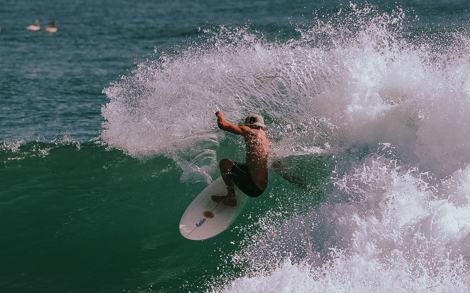 A surfer riding a wave in Baja